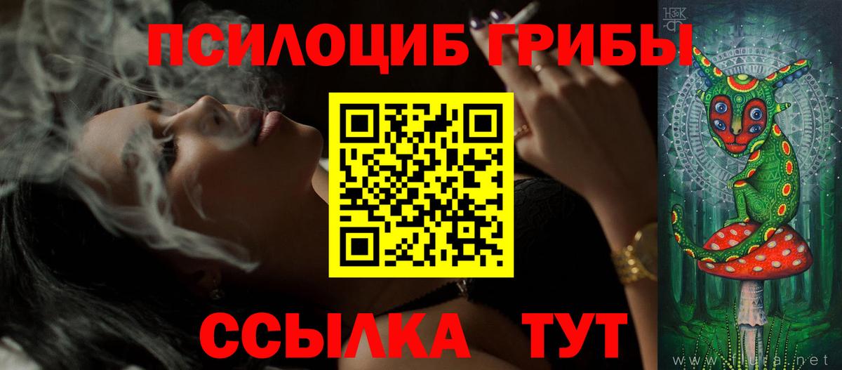 Галлюциногенные грибы Magic Shrooms  Псилоцибиновые грибы Psilocybe  Гатчина  Вход с VPN 